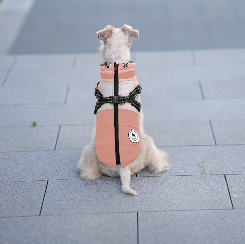 Designer Luxury Dog Jacket Waterproof Polyester Breathable and Reflective with Adjustable Feature for Spring or Winter Season