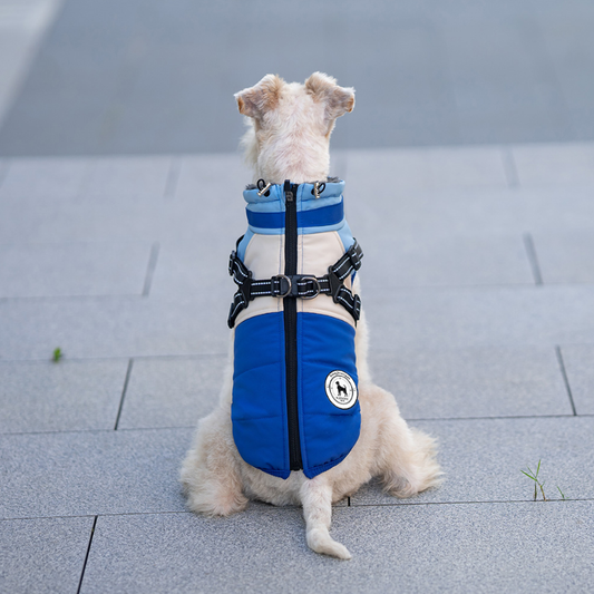 Designer Luxury Dog Jacket Waterproof Polyester Breathable and Reflective with Adjustable Feature for Spring or Winter Season