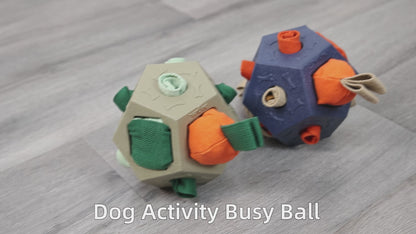 Interactive Brain Game & Treat Dispensing Puzzle Toy